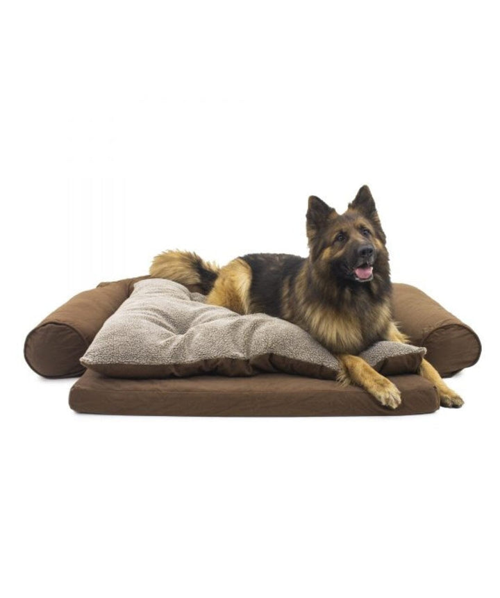 Large Dog laying in brown orthopedic dog bed
