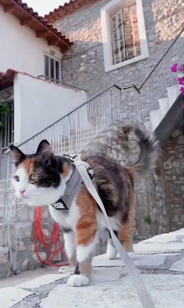 The True Adventurer Reflective Cat Harness & Leash