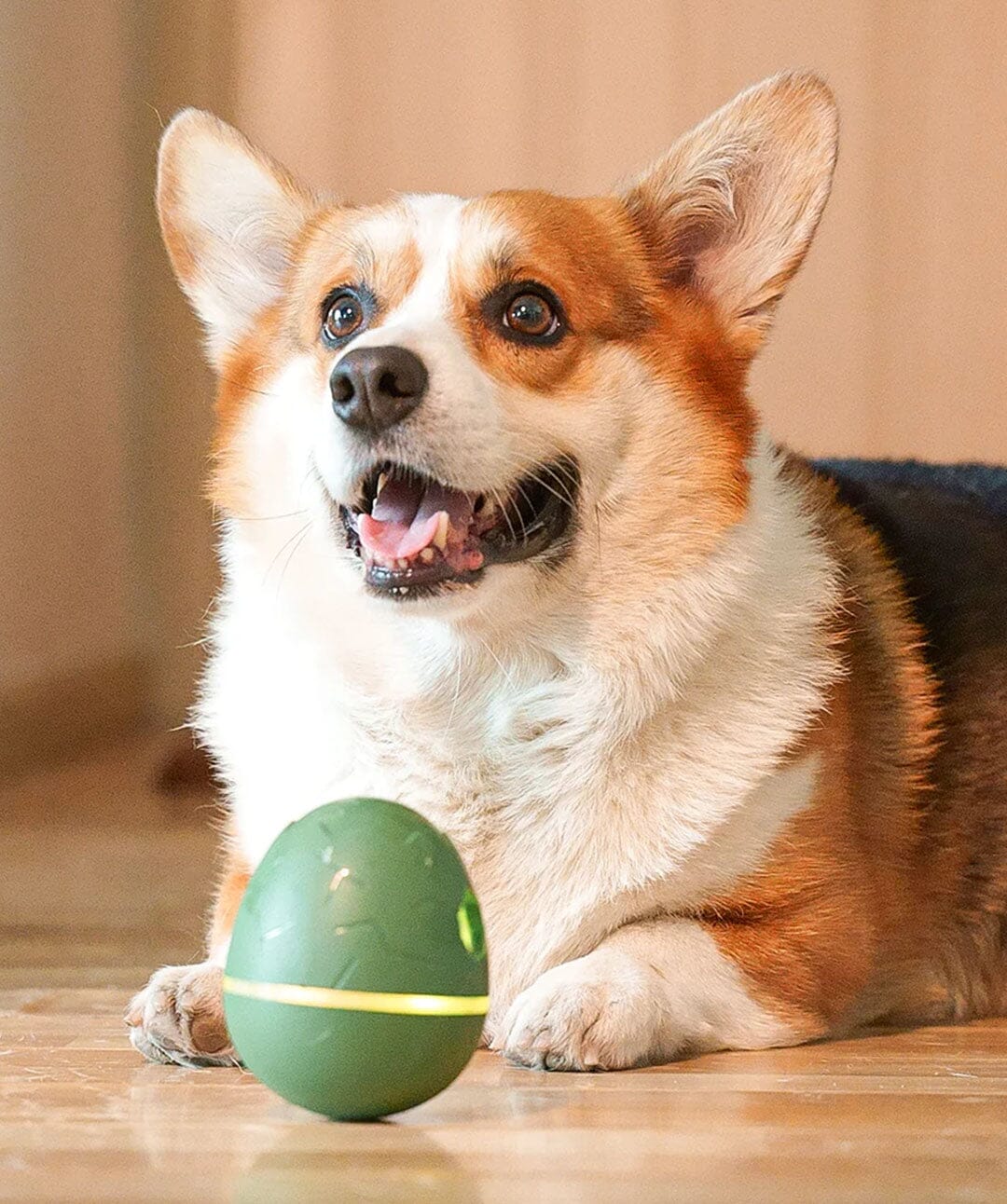 https://store.rover.com/cdn/shop/products/cheerble-wicked-egg-automatic-treat-dispensing-dog-toy-fetch-toys-rover-store-444603_1400x.jpg?v=1687460547