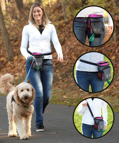 Convertible Dog Treat Bag Dog Walking Accessory Rover 