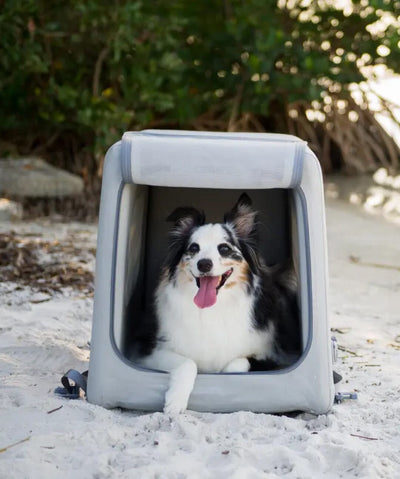 Diggs Eventur Travel Dog Kennel Pet Crate Diggs Inc. 