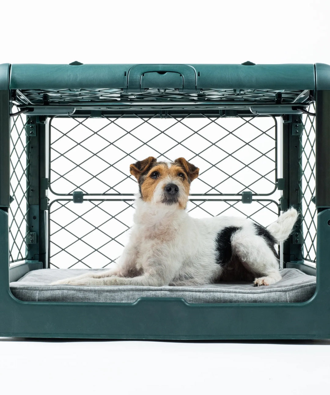 Diggs Revol Collapsible Dog Crate Pet Crate Diggs Inc. 