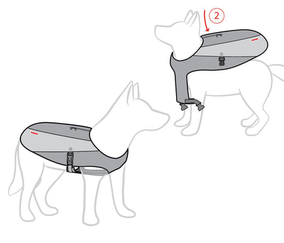Element™ Dog Jacket Dog Apparel Rover 