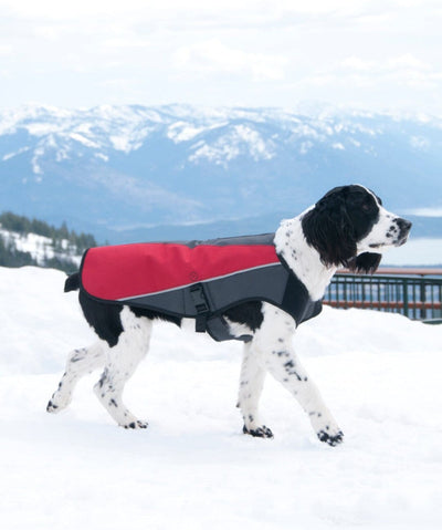 Element™ Waterproof Dog Raincoat Jacket Dog Jacket Rover 
