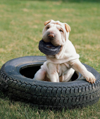 Extreme Tire Dog Toy Dog Toys Rover 