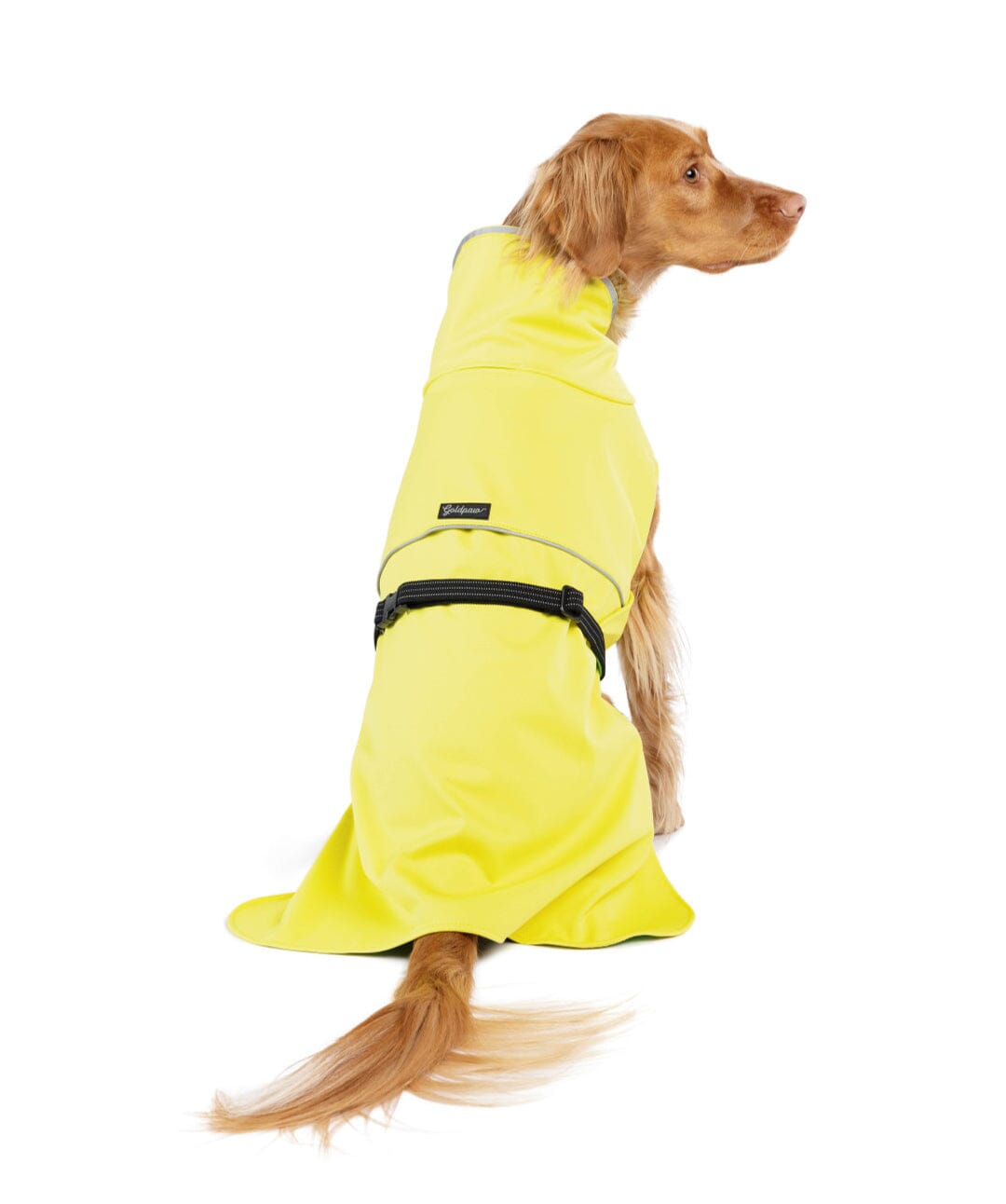 Goldpaw Rain Paw II All-Season Dog Raincoat Raincoat Gold Paw 