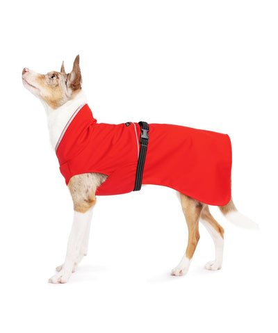 Goldpaw Rain Paw II All-Season Dog Raincoat Raincoat Gold Paw Red 10 