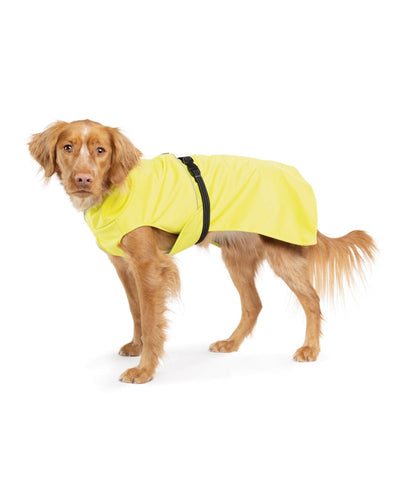 Goldpaw Rain Paw II All-Season Dog Raincoat Raincoat Gold Paw Yellow 8 