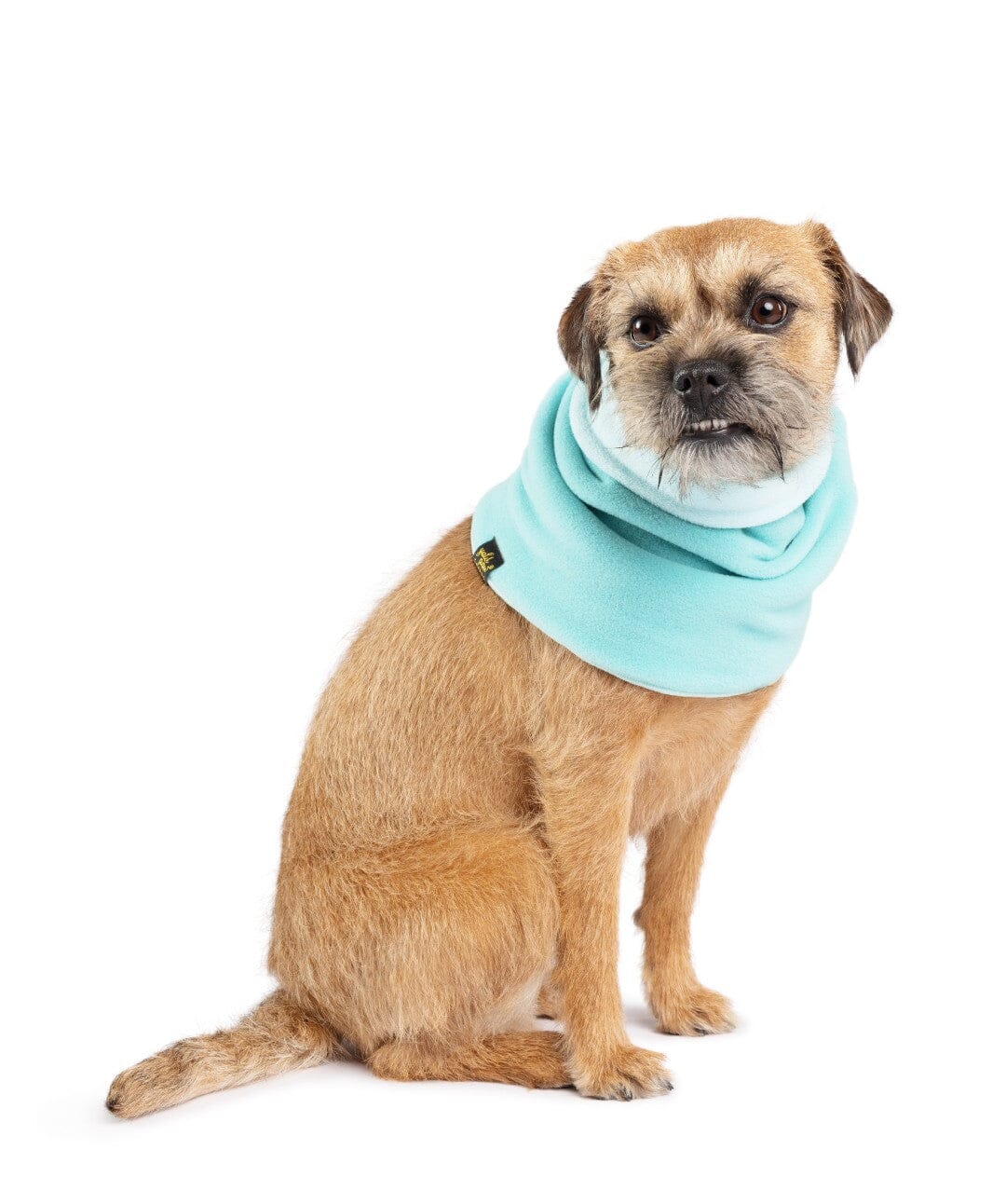 GoldPaw Reversible Dog Snood Dog Scarf Gold Paw Turquoise S 