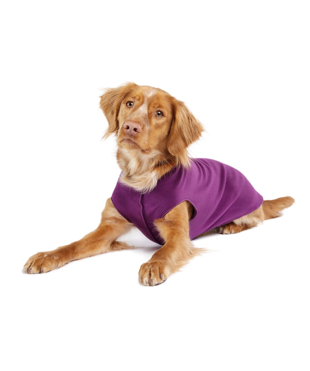 Goldpaw Stretch Fleece Dog Pullover Raincoat Gold Paw Purple 8 