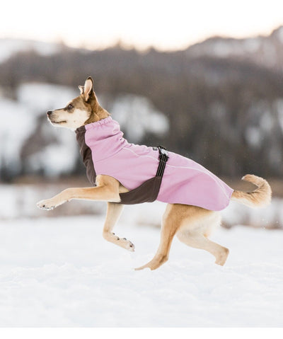 Goldpaw WinterPaw Dog Coat Raincoat Gold Paw 