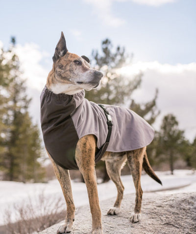 Goldpaw WinterPaw Dog Coat Raincoat Gold Paw 