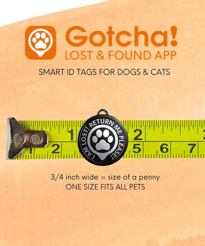 Gotcha! Smart Pet ID Tag Pet ID Tag Rover 