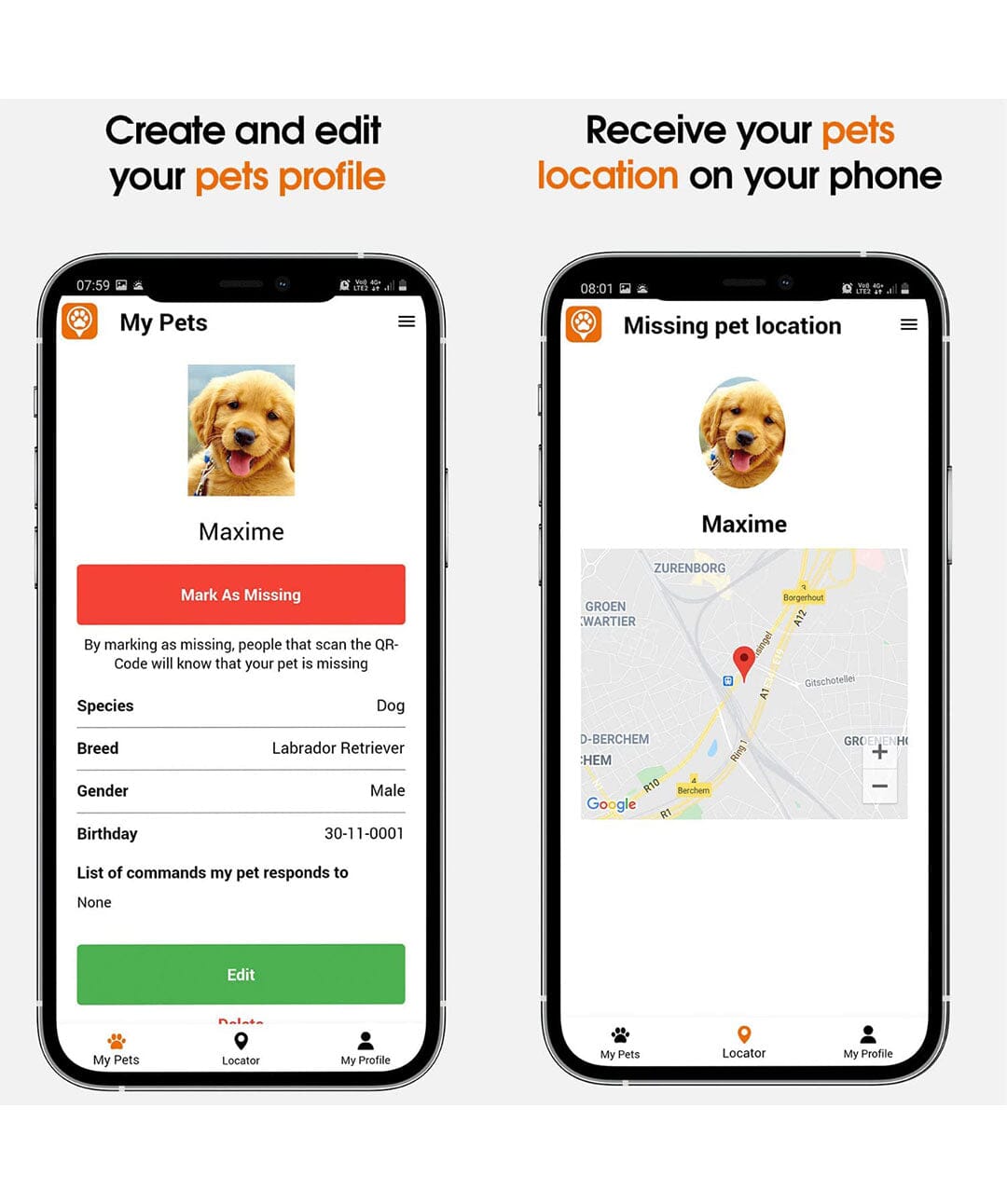 Digital Guardians: Pet ID Technology for Enhanced Safety
