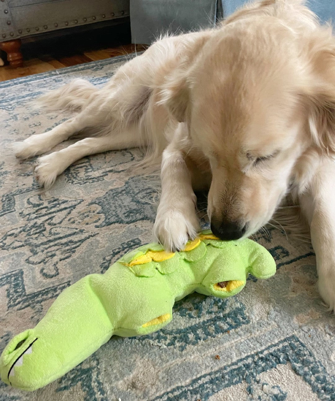 Hide n' Seek Plush Crocodile Treat Dispensing Dog Toy