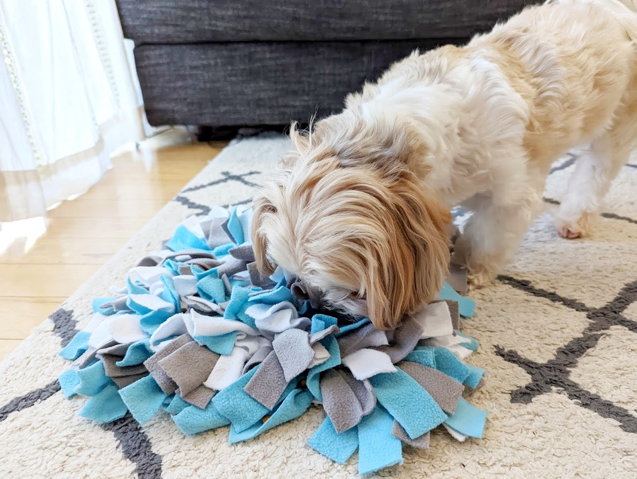Smellymatty Snuffle Mat for Dogs - Enrichment Hide & Seek Treat