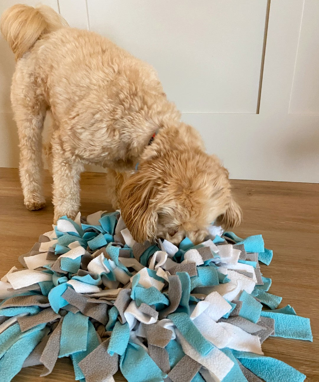 The Best Snuffle Mat For Dogs - Dog Treat Hiding Mat