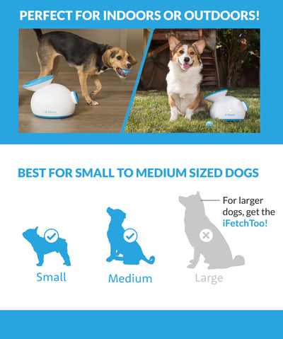 iFetch Interactive Ball Launcher for Dogs Rover Store 
