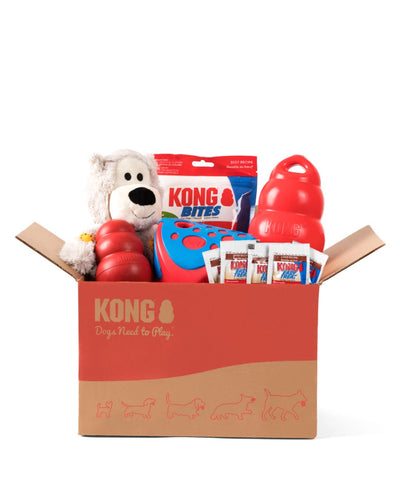 KONG® x Rover Play Together Kit Toy Bundles Rover S 