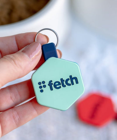 LifeKey Fetch Digital Pet ID Tag Health Rover 