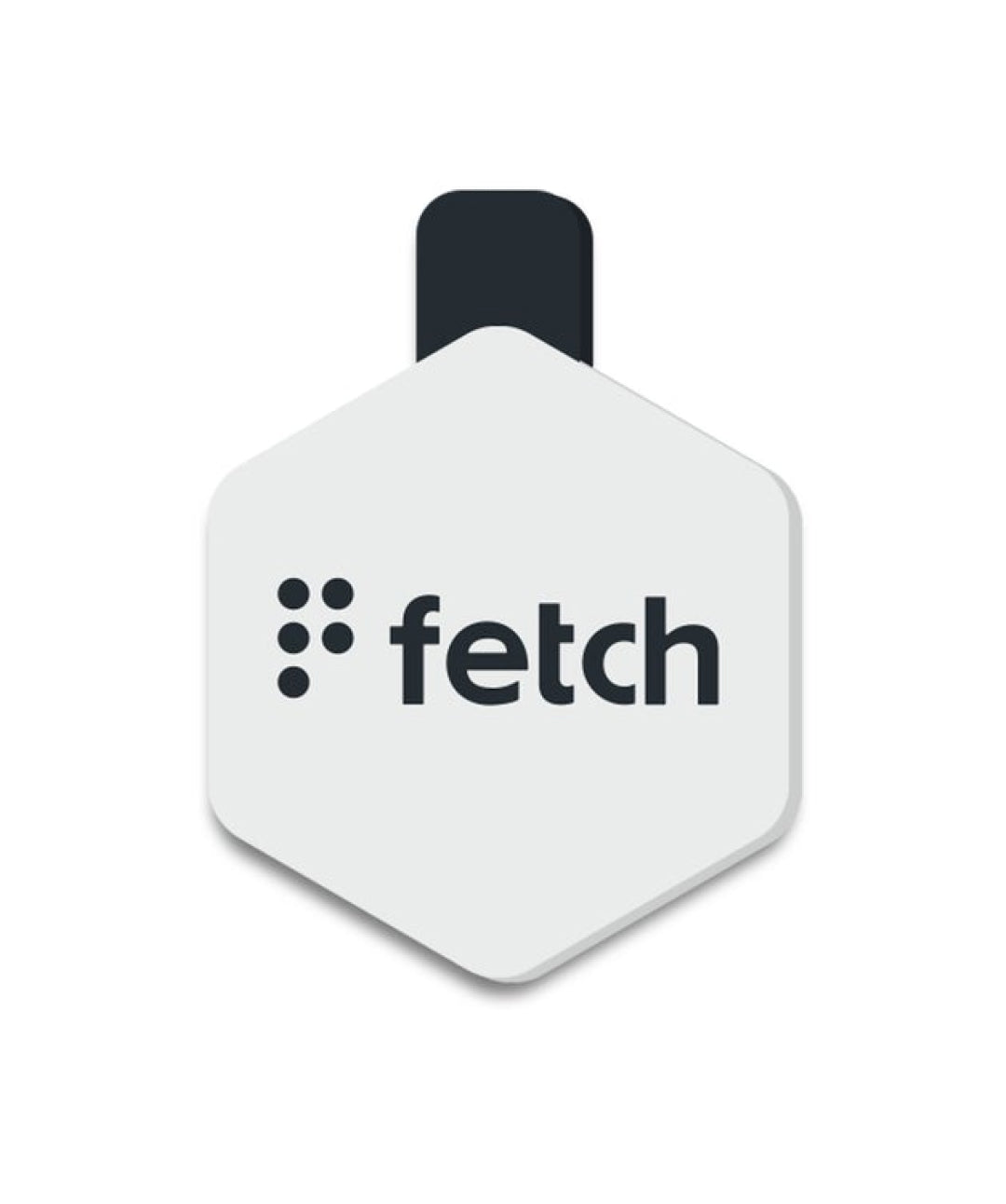 LifeKey Fetch Digital Pet ID Tag Health Rover Grey Small 