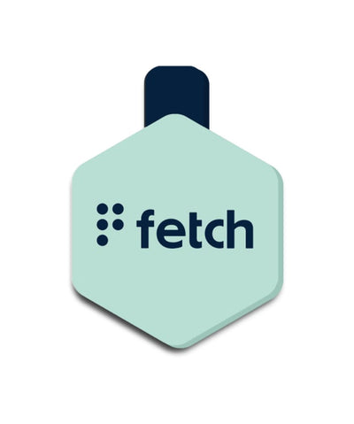 LifeKey Fetch Digital Pet ID Tag Health Rover Mint Small 