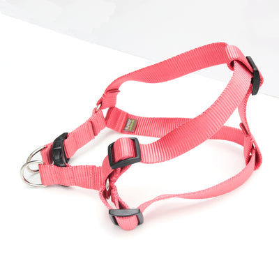 Mimi Green Classic Webbing Step-In Dog Harness Harness Mimi Green Strawberry XS 