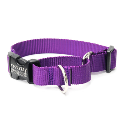 Mimi Green Martingale Personalized Dog Collar Collar Mimi Green Purple 