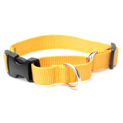 Mimi Green Martingale Personalized Dog Collar Collar Mimi Green Yellow 