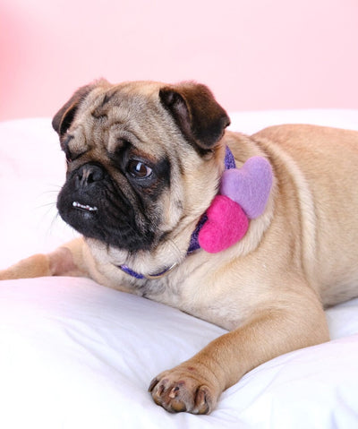 Mimi Green Valentine Dog Collar Heart Accessory Collar Accessory Mimi Green 