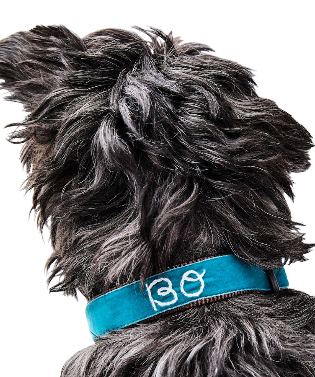 Mimi Green Velvet Custom Dog Collar Rover Store 