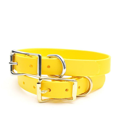 Mimi Green Waterproof Custom Dog Collar Rover Store 7 to 10 inches (5/8" width) Yellow 