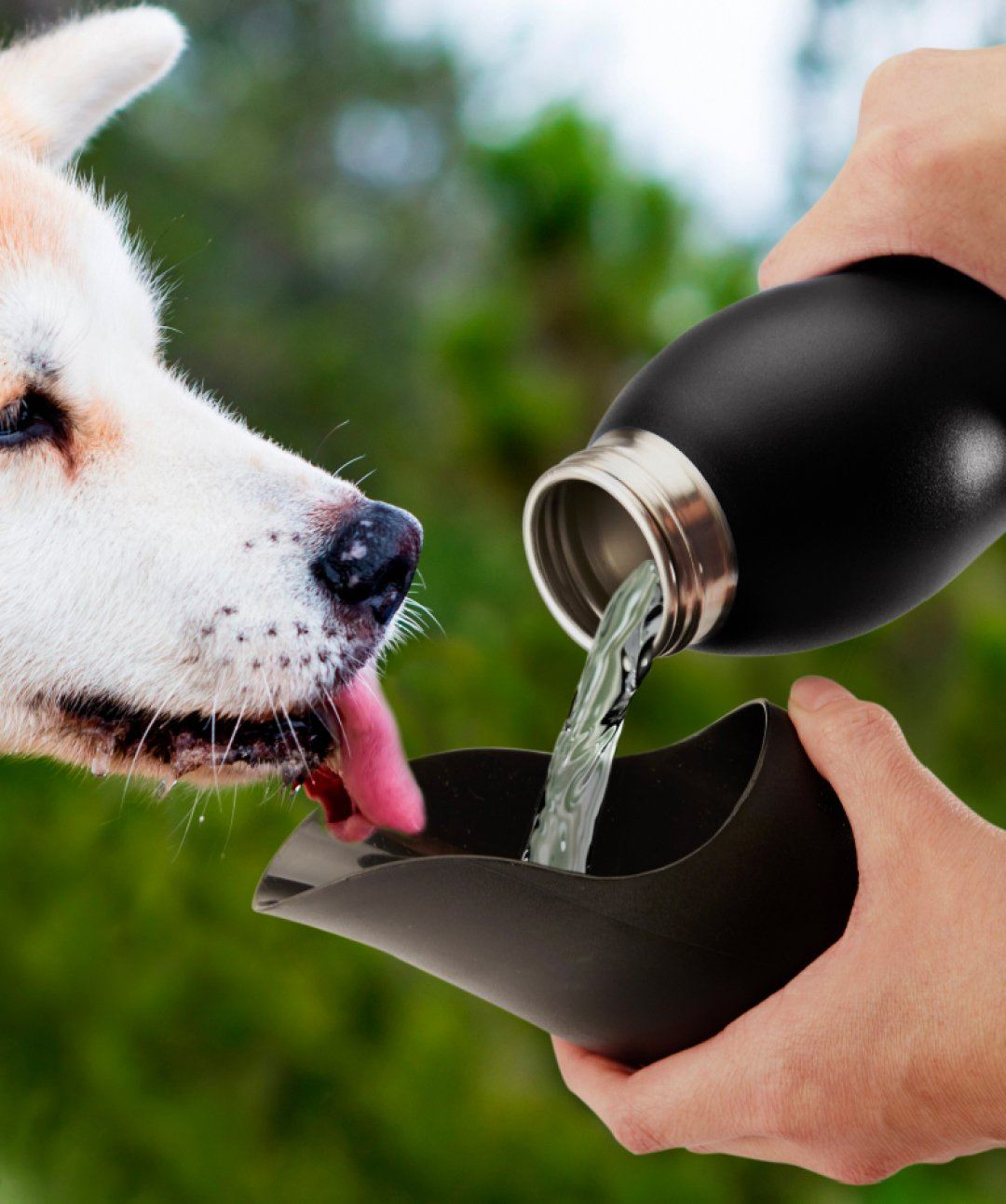 Mobile Dog Gear™ 25 oz. Dog Water Bottle Dog Supplies Overland LLC 