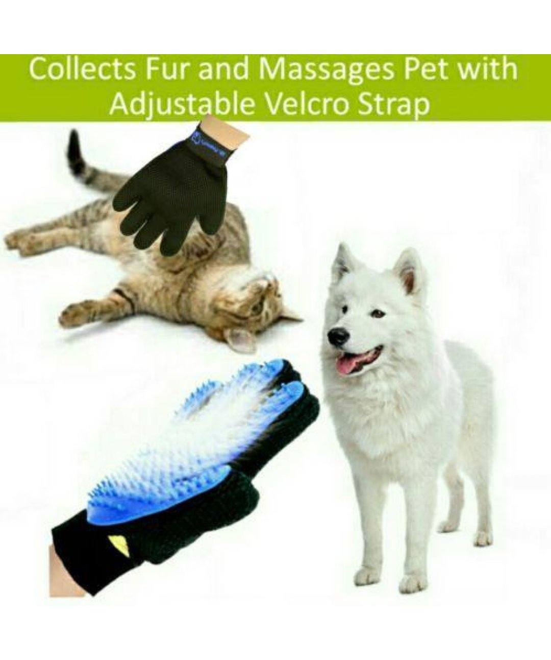 https://store.rover.com/cdn/shop/products/mr-peanuts-silicone-pet-grooming-gloves-set-of-2-grooming-rover-566282_1400x.jpg?v=1631731805