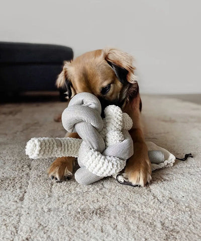 Dog playing with two puzzle knot toys tied together to form a larger toy