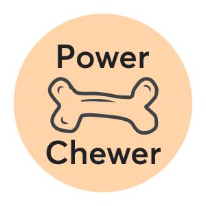Nylabone DuraChew Ring Original Chicken Flavor Dog Chew Toy Chew Toy Rover 