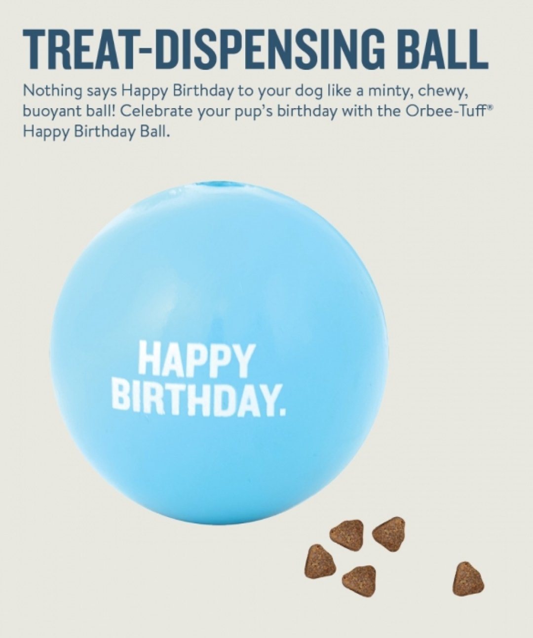 Orbee-Tuff ‘Happy Birthday’ Treat Dispensing Dog Toy by Outward Hound Toys Rover 