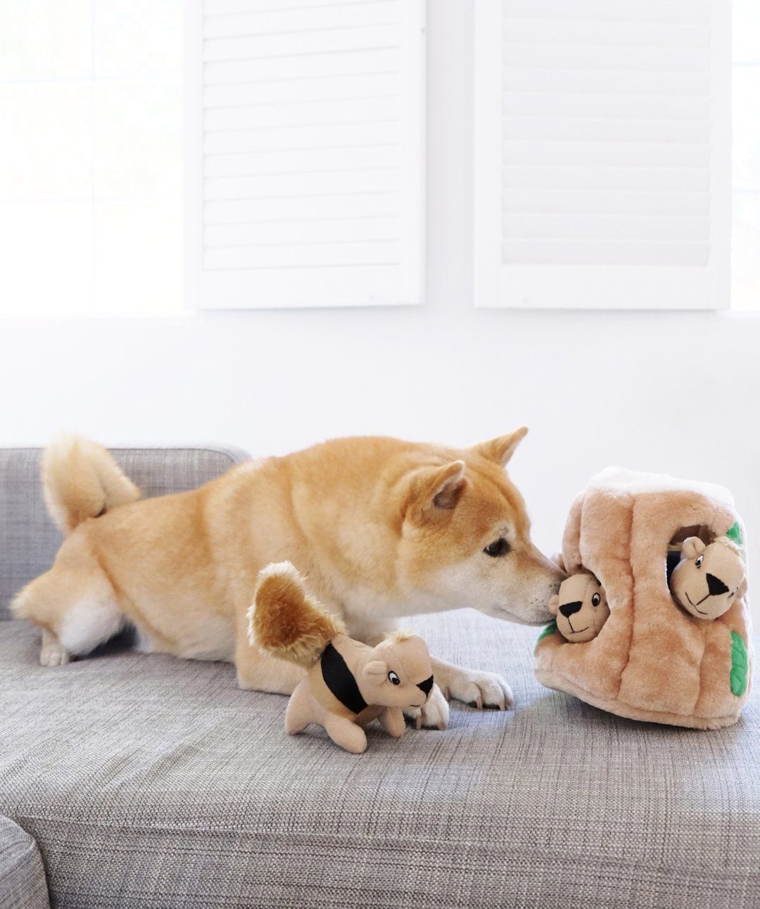 https://store.rover.com/cdn/shop/products/outward-hound-hide-a-squirrelr-puzzle-dog-toy-toys-rover-684056_1400x.jpg?v=1652137192