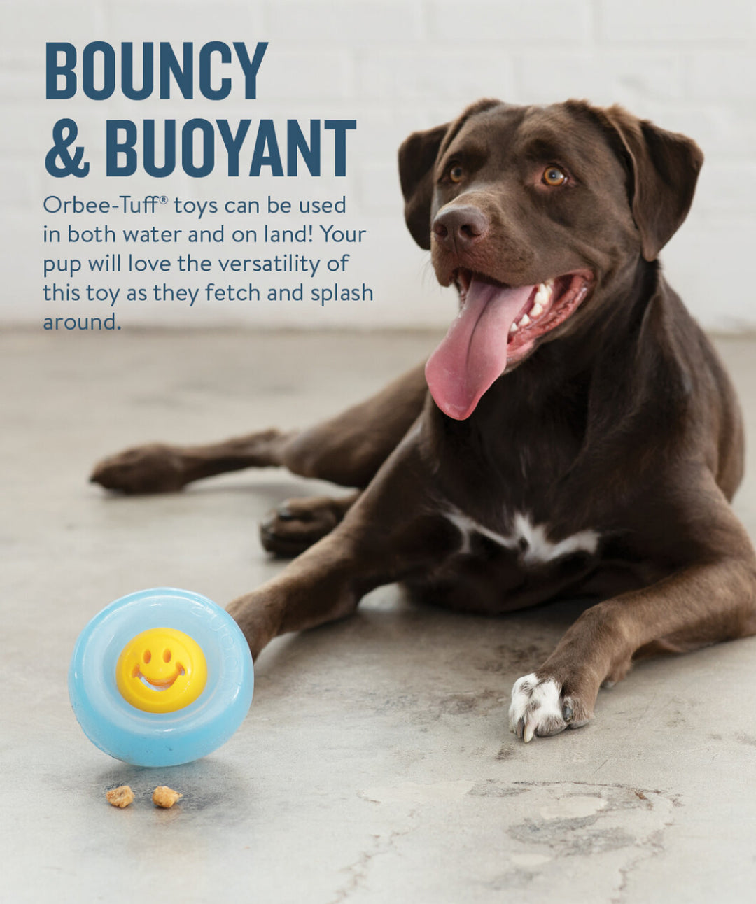 Orbee-Tuff ‘Happy Birthday’ Treat Dispensing Dog Toy by Outward Hound