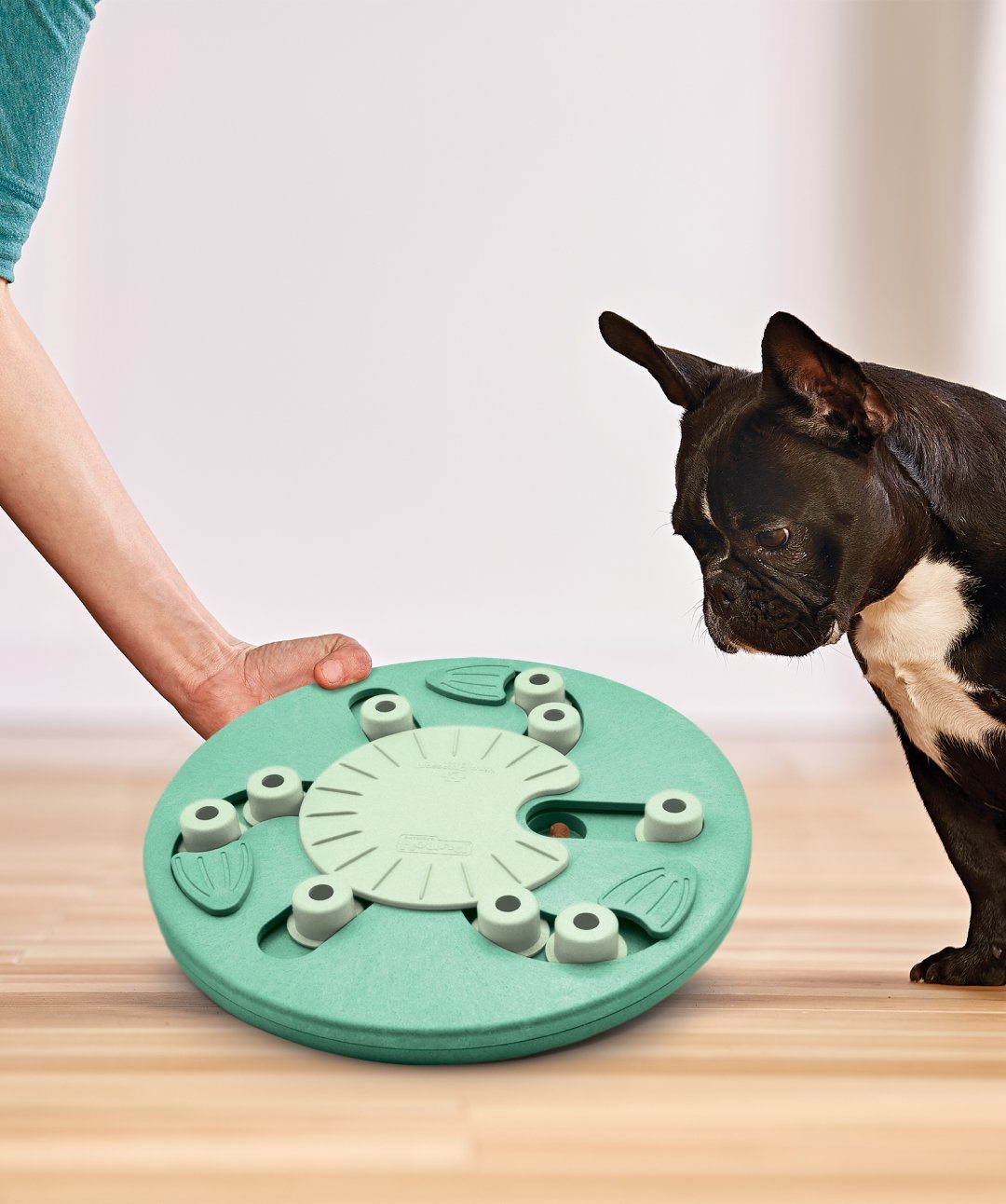 MultiPuzzle Dog Puzzle Toy – Rover Store