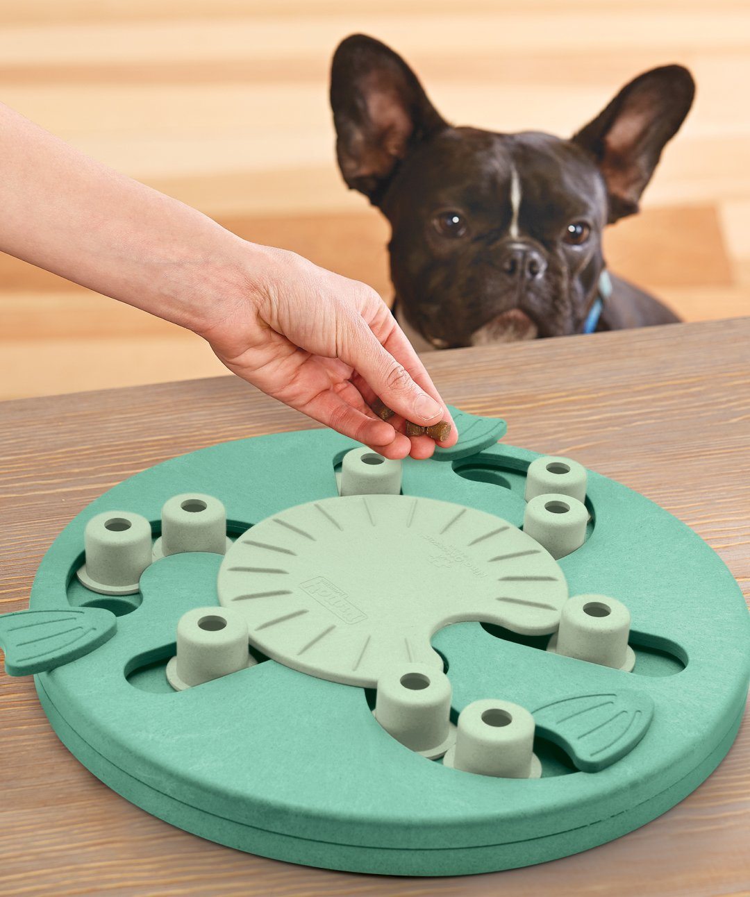 Outward Hound Worker Dog Puzzle Toy Puzzle Toy Rover 