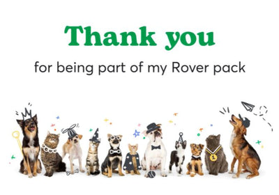 ‘Part of My Rover Pack’ Thank You Cards Business Promotional Materials Rover Store 