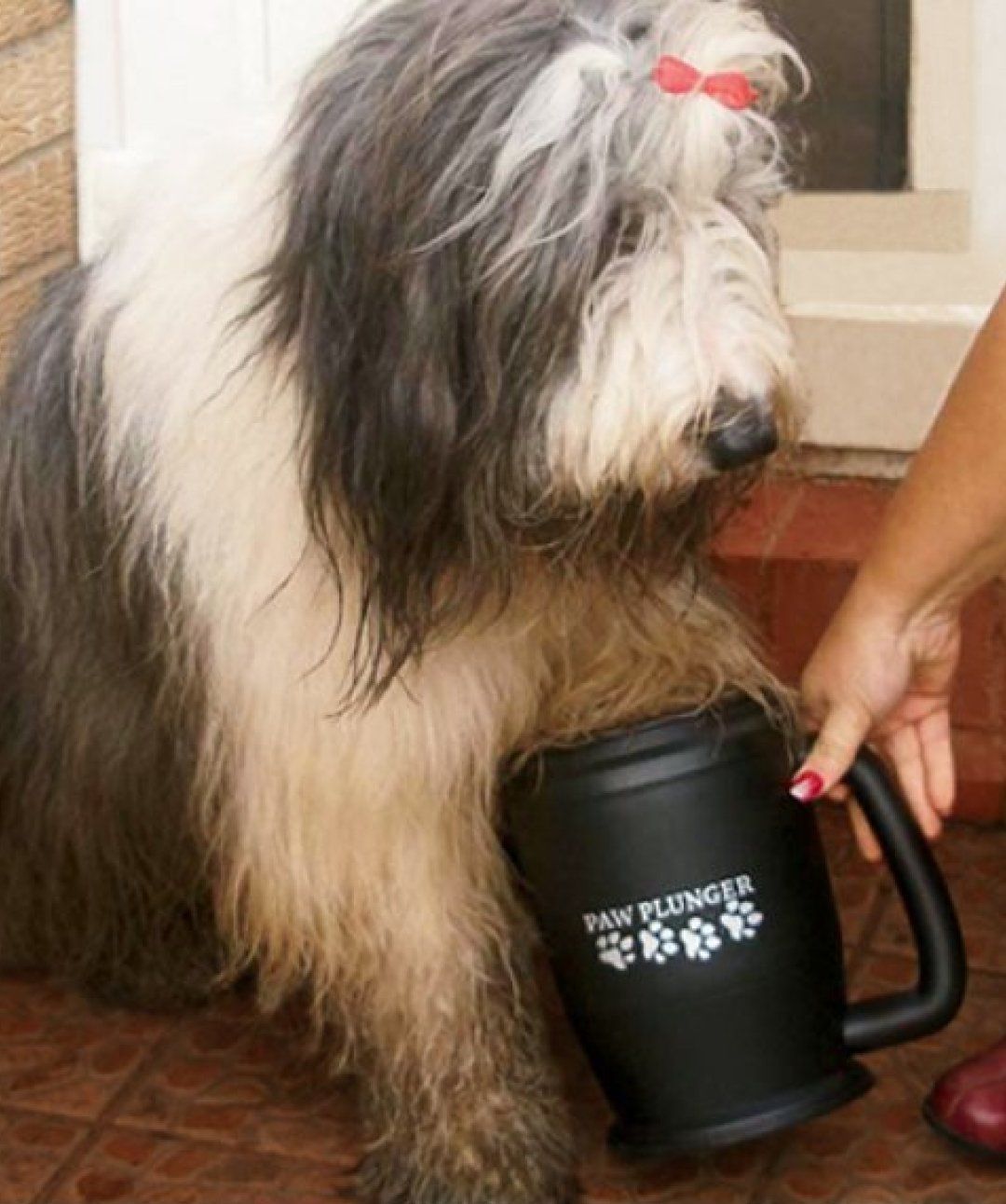 Paw Plunger® Paw Cleaner Tumbler Rover 