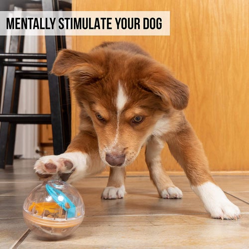 Pet Zone IQ Treat Ball Dog Toy 4 in.