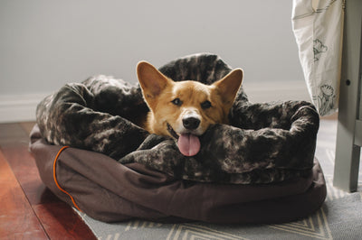 P.L.A.Y. Snuggle Pet Bed (2 colors) Dog Bed PLAY 