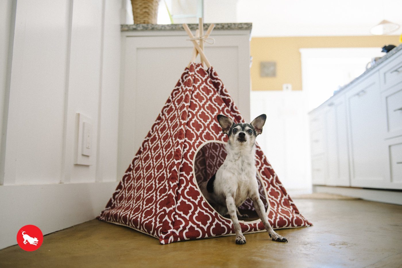 P.L.A.Y. Tent Pet Bed (3 Styles) Dog Bed PLAY 