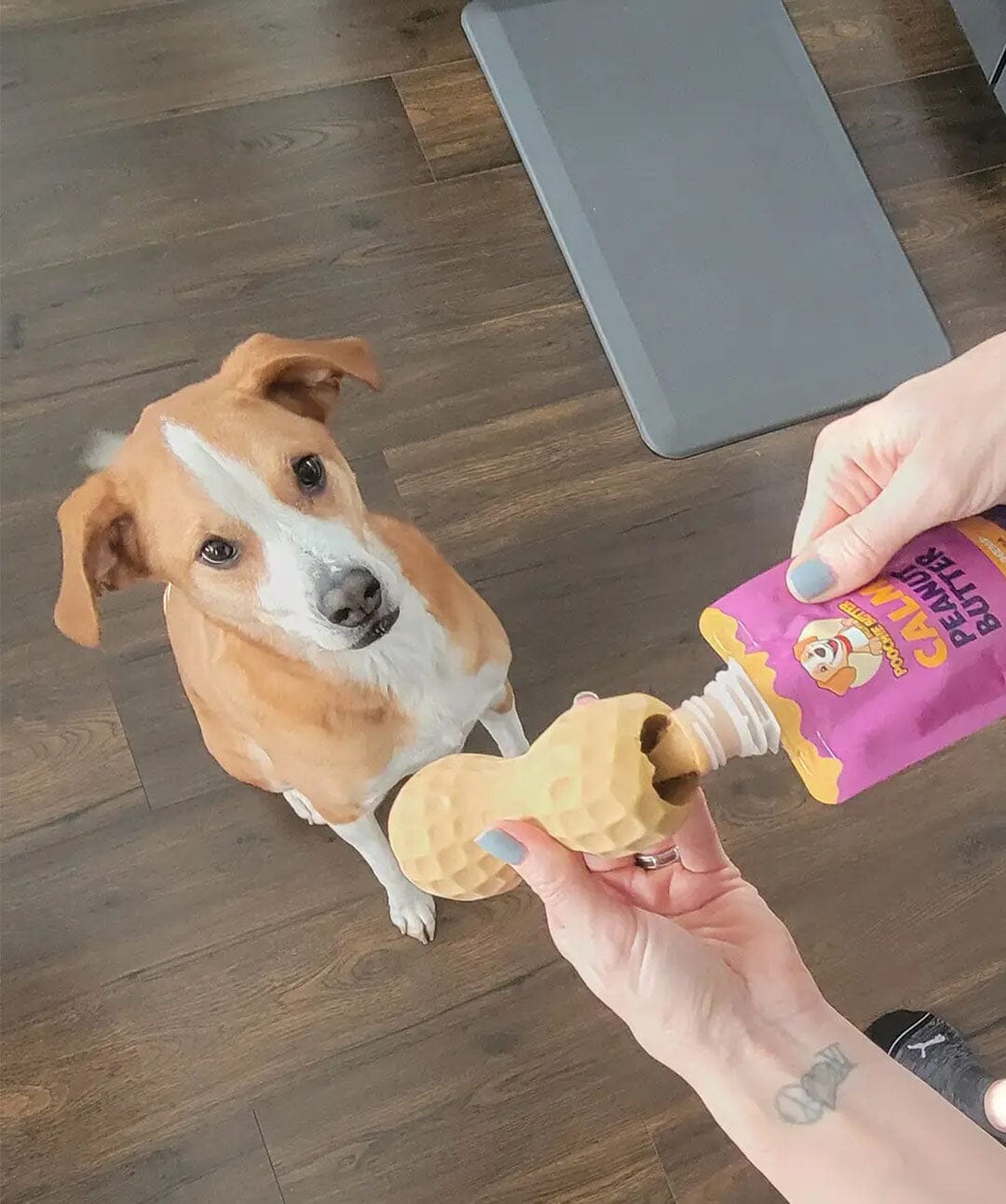 Poochie Butter Calming Peanut Butter Dog Treat Dog Treats Rover 