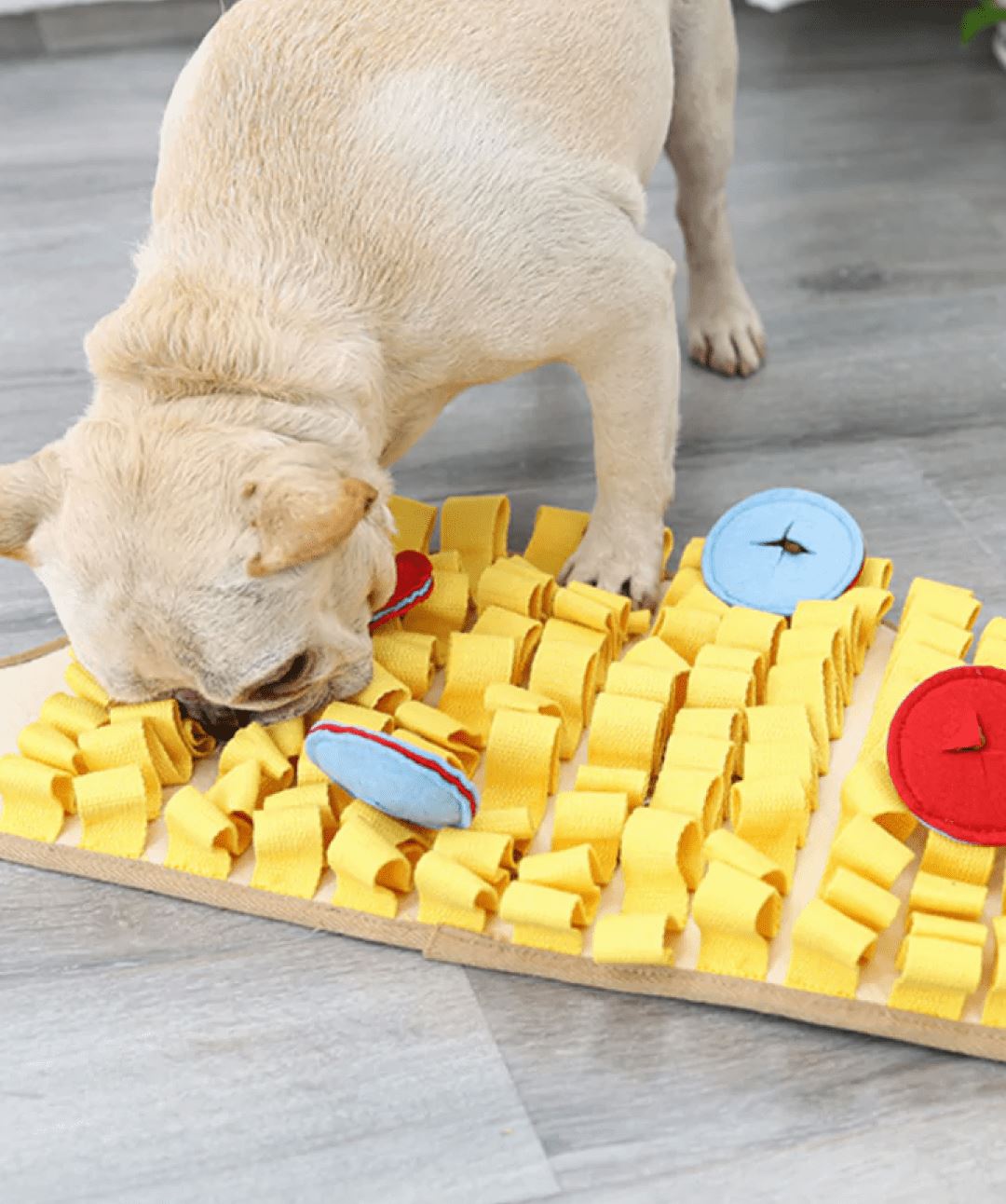 MiMu Dog Puzzle Toy Blue Paw Shape Dog Food Puzzle Training