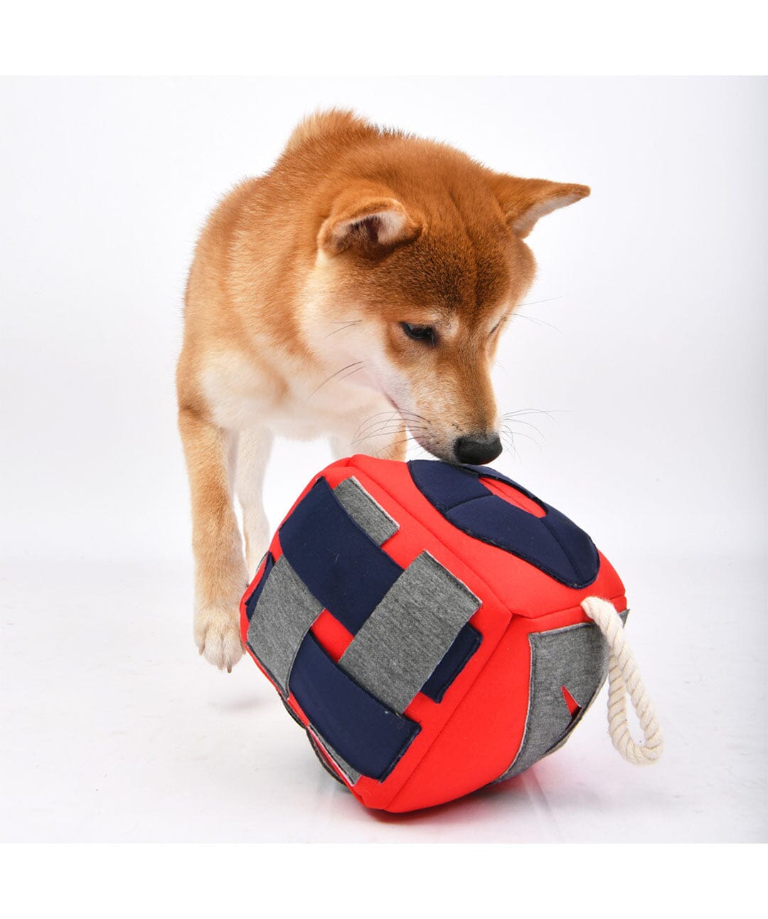 Roller Snuffle Cube Dog Toy Rover 