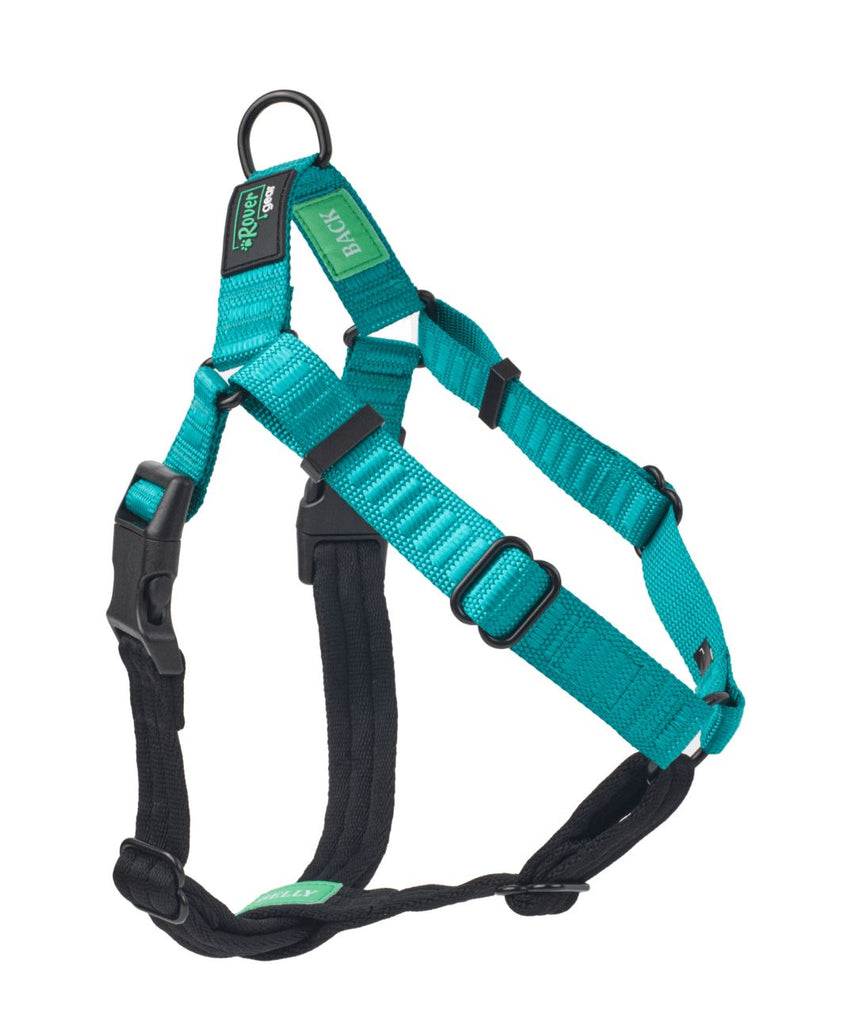 https://store.rover.com/cdn/shop/products/rover-gear-better-walk-no-pull-dog-harness-harness-rover-store-xs-teal-678348_1024x1024.jpg?v=1677093427